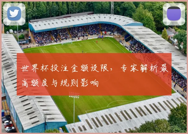 世界杯投注金额设限，专家解析最高额度与规则影响