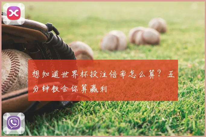 想知道世界杯投注倍率怎么算？五分钟教会你算赢利