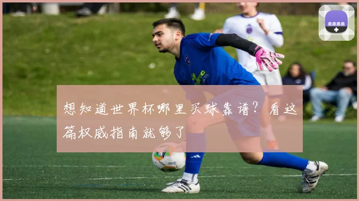 想知道世界杯哪里买球靠谱？看这篇权威指南就够了