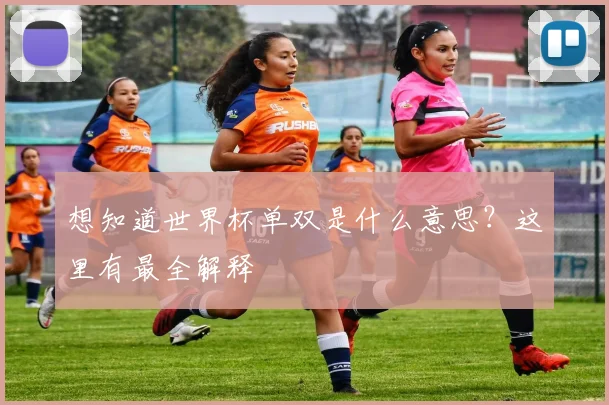 想知道世界杯单双是什么意思？这里有最全解释