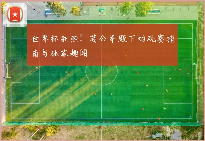世界杯狂热！茜公举殿下的观赛指南与独家趣闻