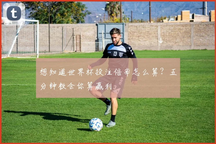 想知道世界杯投注倍率怎么算？五分钟教会你算赢利